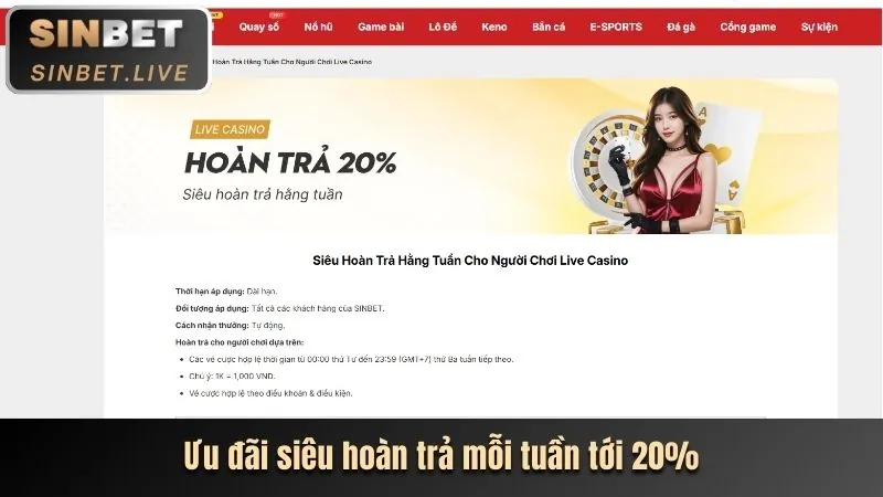 Trải nghiệm người dùng tối ưu trên mọi thiết bị